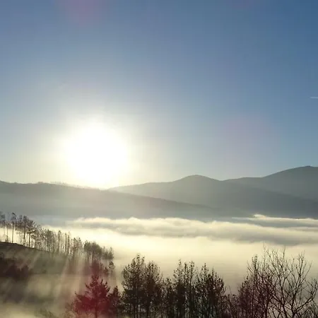 Blue Mountain View Holiday *