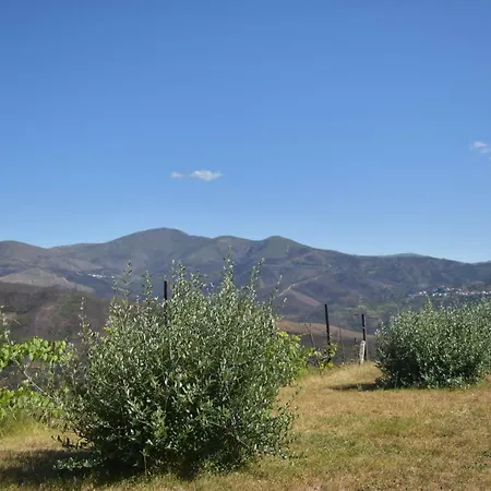 Blue Mountain View Holiday Semesterbostad Oliveira do Hospital
