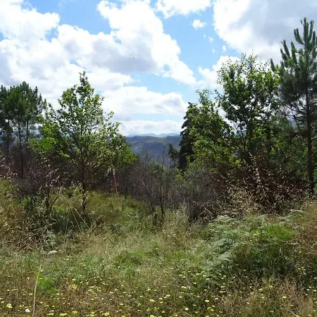 Blue Mountain View Holiday *