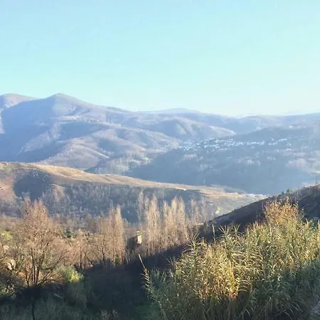 Blue Mountain View Holiday *